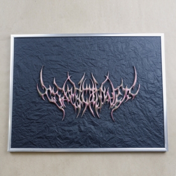 3d панно Rockdecor r3 хамелеон в рамке 30х40 на черном фоне 3